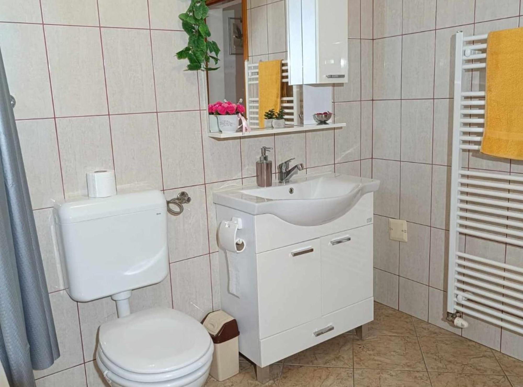 Apartmani Tea I Toni Gradiste Exterior foto